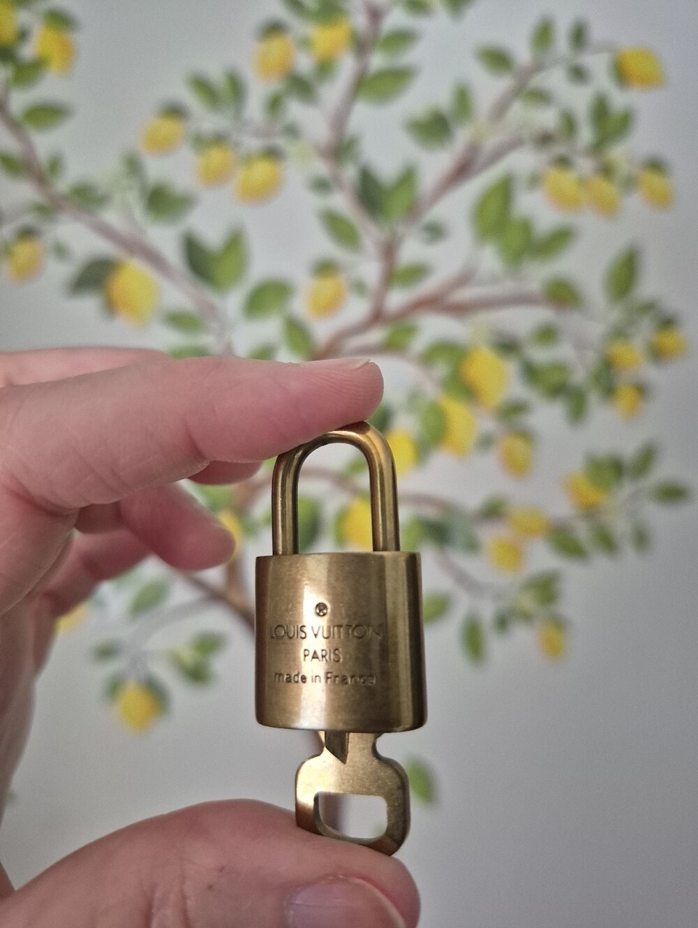 Louis Vuitton Lock and Key